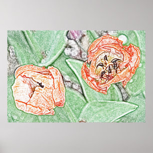 Two orange tulips poster