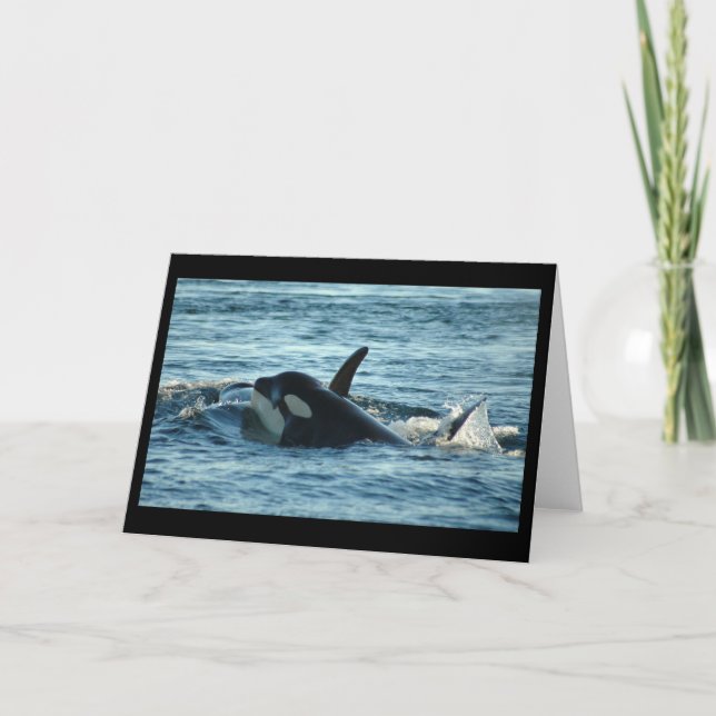 Two Orcas Greeting Card (Front)