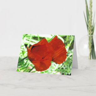 Two Oriental Poppies Flower Photo Card