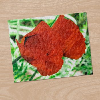 Two Oriental Poppies Flower Photo Jigsaw Puzzle by RocklawnArts at Zazzle