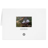 Two Owls (Back Horizontal)