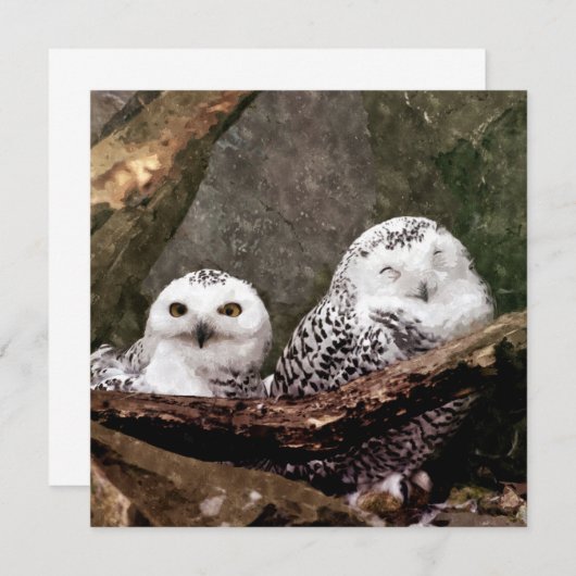 Two Owls (Front/Back)