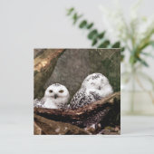 Two Owls (Standing Front)