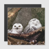 Two Owls (Front/Back)