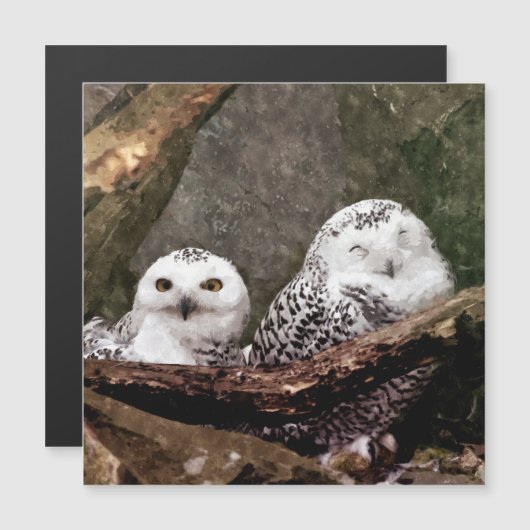 Two Owls (Front/Back)