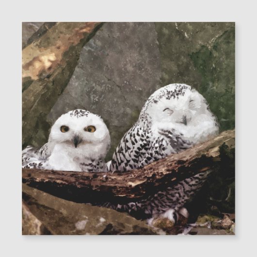 Two Owls (Front)