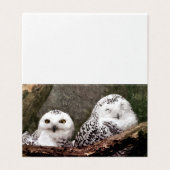 Two Owls (Outside Unfolded)