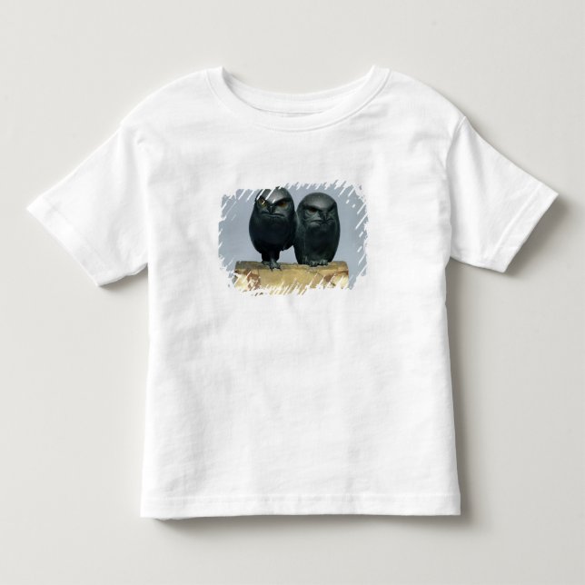 Two Owls, 1903-04 Toddler T-shirt (Front)
