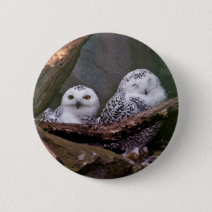 Two Owls Button