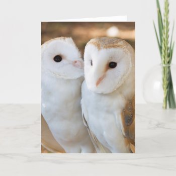 Two Owls Friends Card by Spetenfia at Zazzle