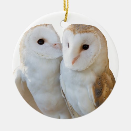 two owls friends christmas ornament