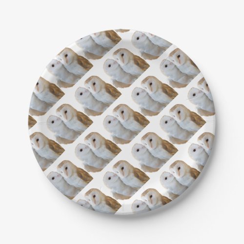 two owls friends paper plates