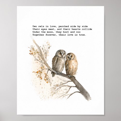 Two Owls in Love Poster