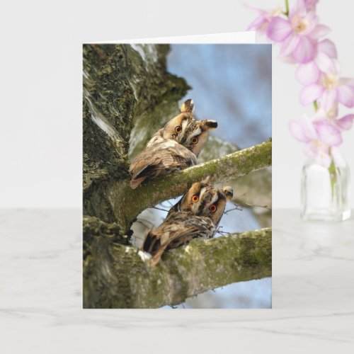 Two Owls in the Woods birds wildlife Acrylic Pri Card