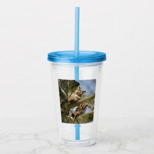 Two Owls in the Woods, birds, wildlife Acrylic Tumbler