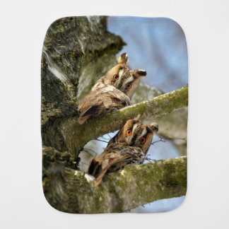 Two Owls in the Woods, birds, wildlife Baby Burp C Cloth