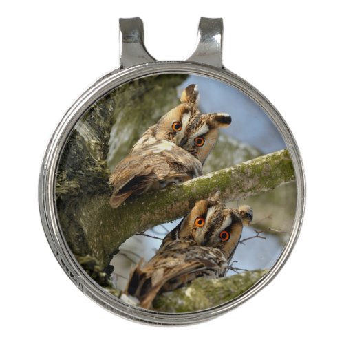 Two Owls in the Woods birds wildlife Golf Hat Clip