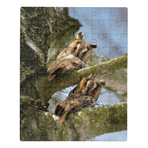 Two Owls in the Woods, birds, wildlife Jigsaw Puzzle
