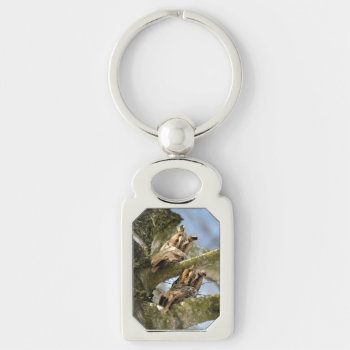 Two Owls In The Woods  Birds  Wildlife Keychain by Onshi_Designs at Zazzle
