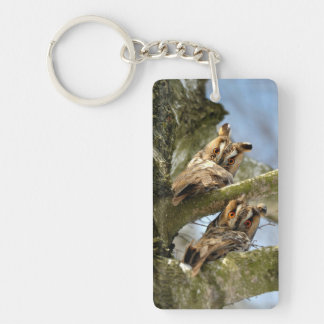 Two Owls in the Woods, birds, wildlife Keychain