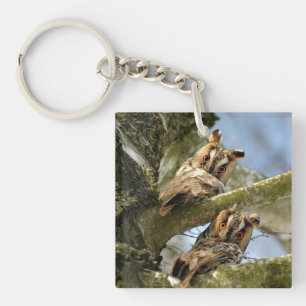 Two Owls in the Woods, birds, wildlife Keychain