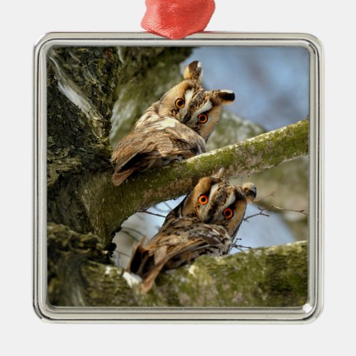 Two Owls in the Woods birds wildlife Metal Ornam Metal Ornament