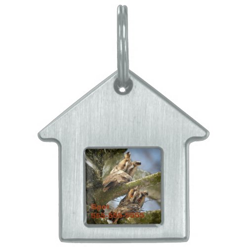 Two Owls in the Woods birds wildlife Pet ID Tag