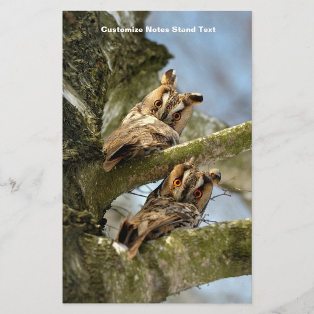 Two Owls in the Woods, birds, wildlife Stationery (Front)