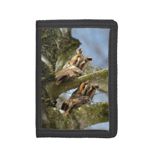 Two Owls in the Woods, birds, wildlife Trifold Wal Trifold Wallet