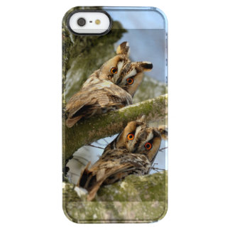Two Owls in the Woods, birds, wildlife Uncommon iP Clear iPhone SE/5/5s Case