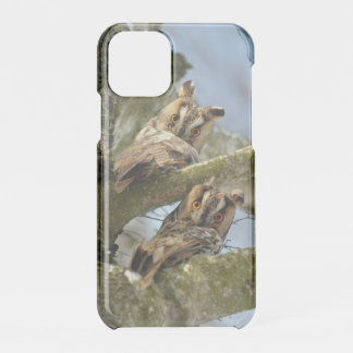 Two Owls in the Woods, birds, wildlife Uncommon iP iPhone 11 Pro Case