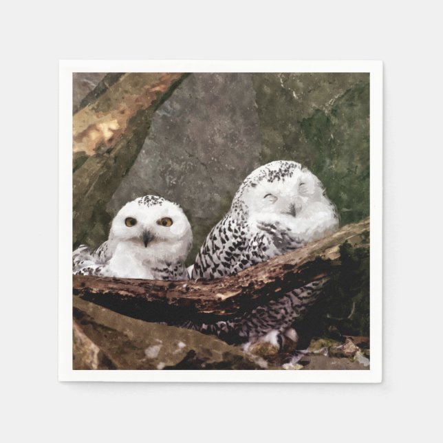 Two Owls Napkins (Front)