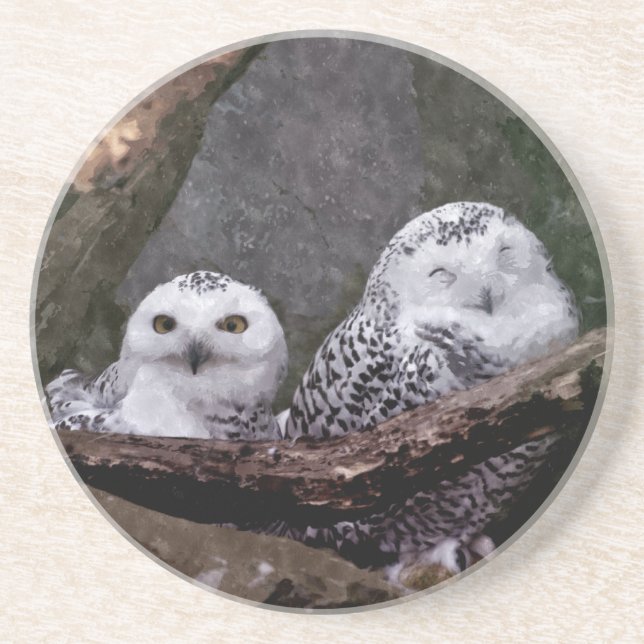 Two Owls Sandstone Coaster (Front)