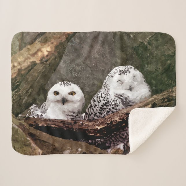 Two Owls Sherpa Blanket (Front (Horizontal))