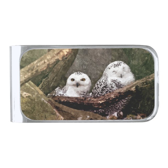 Two Owls Silver Finish Money Clip (Front)