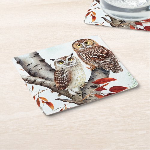 Two Owls sitting in a White Birch Tree in Autumn Square Paper Coaster