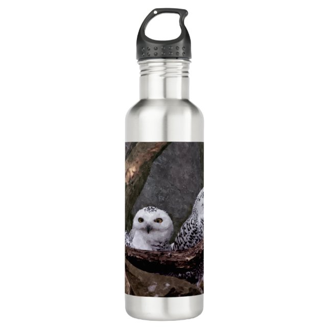 Two Owls Water Bottle (Front)