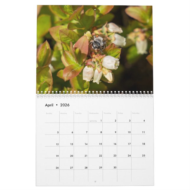 Two Page Medium Calendar, White Calendar (Apr 2026)