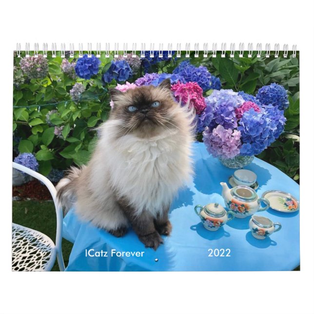 Two Page MediumCalendar, White Calendar (Cover)