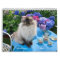 Two Page MediumCalendar, White