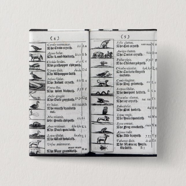 Two pages from 'Orbis Sensualium Pictus' Pinback Button (Front)