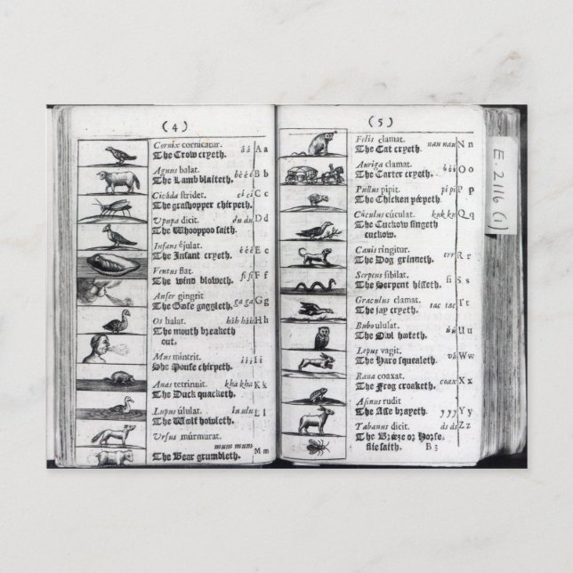 Two pages from 'Orbis Sensualium Pictus' Postcard (Front)