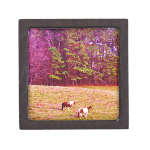 Two Painted Horses Gift Box