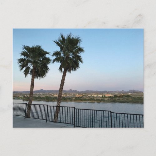 Two Palm Trees Colorado River in Laughlin Nevada Postcard