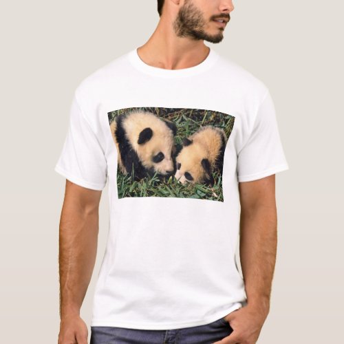 Two panda cubs in the bamboo bush Wolong T_Shirt