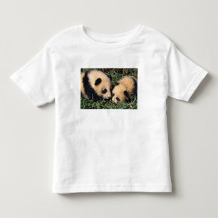 Two panda cubs in the bamboo bush, Wolong, Toddler T-shirt