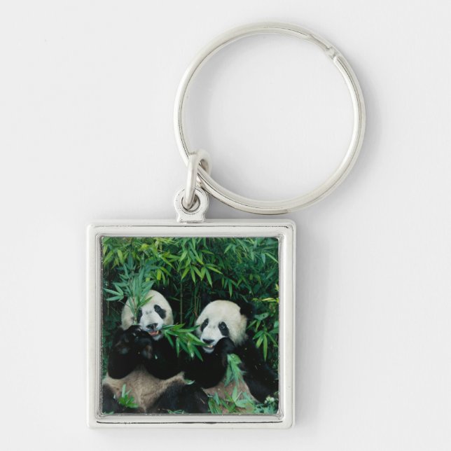 Two pandas eating bamboo together, Wolong Keychain (Front)