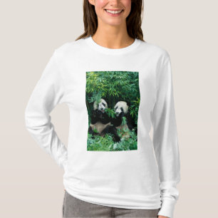 Two pandas eating bamboo together, Wolong T-Shirt