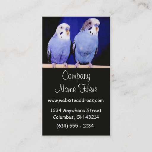 Customizable Two Parakeets Business Cards