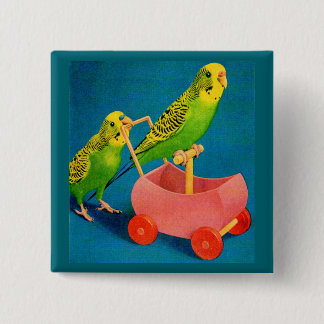 two parakeets button